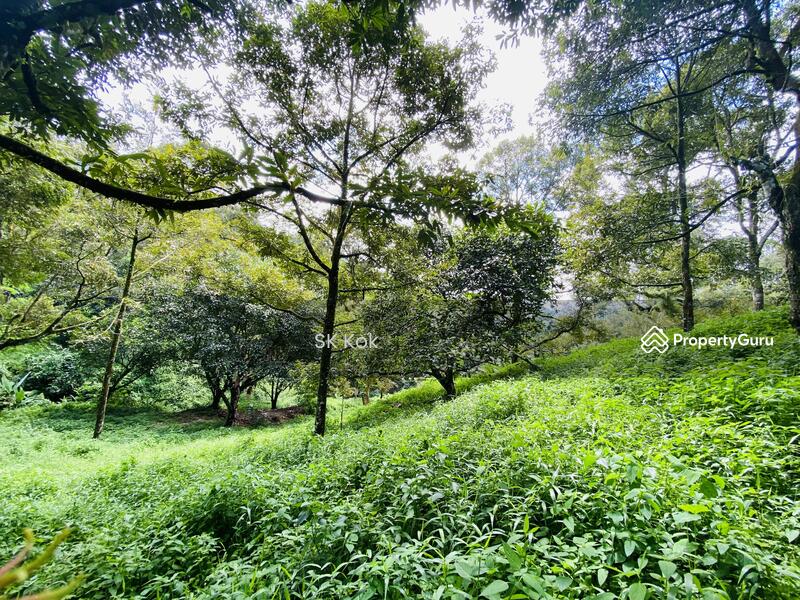 Agricultural Land for Sale in Gopeng (Perak) - SK Kok - PropertyGuru.com.my