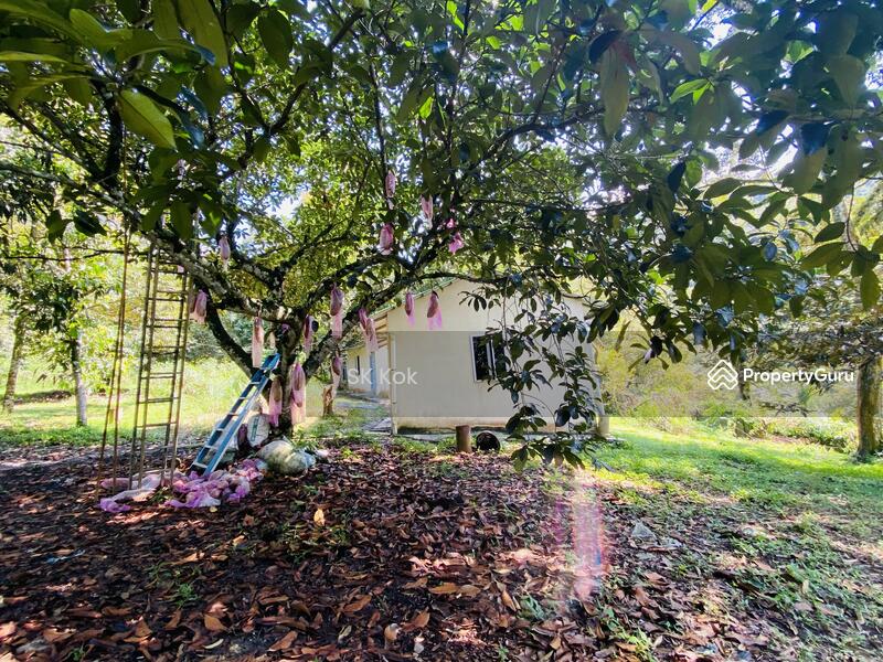 Agricultural Land for Sale in Gopeng (Perak) - SK Kok - PropertyGuru.com.my