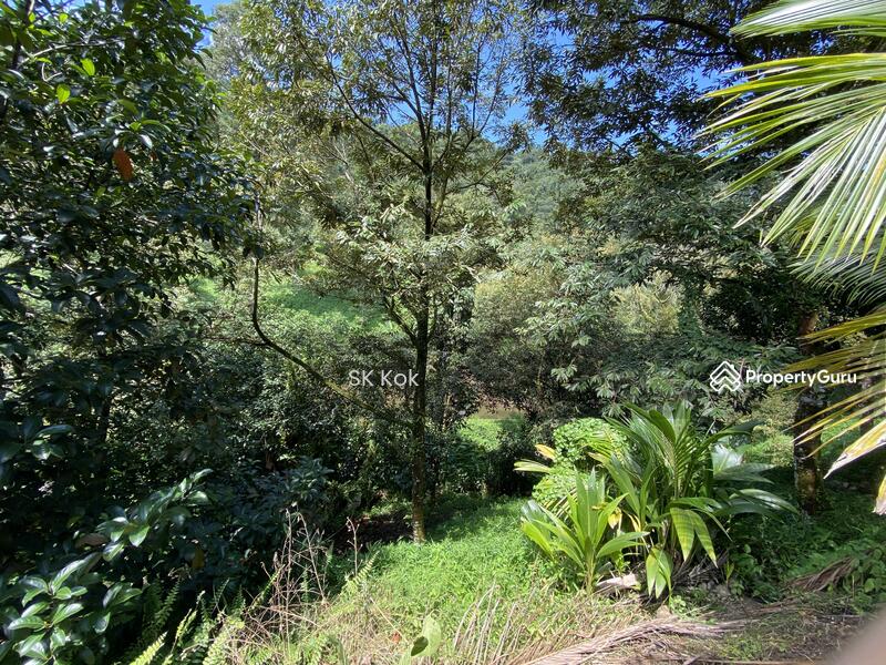 Agricultural Land for Sale in Gopeng (Perak) - SK Kok - PropertyGuru.com.my