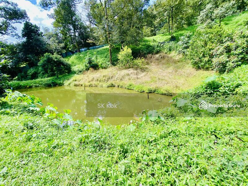 Agricultural Land for Sale in Gopeng (Perak) - SK Kok - PropertyGuru.com.my
