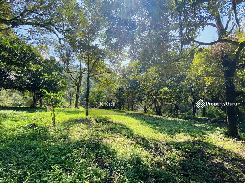 Agricultural Land for Sale in Gopeng (Perak) - SK Kok - PropertyGuru.com.my