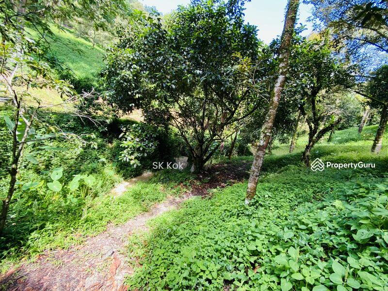 Agricultural Land for Sale in Gopeng (Perak) - SK Kok - PropertyGuru.com.my