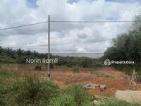 For Sale - Kg limau purut Segamat