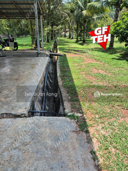 Tanah Pertanian untuk Dijual di Pekan Tikam Batu (Tikam Batu) - Teh Guan Fong - PropertyGuru.com.my
