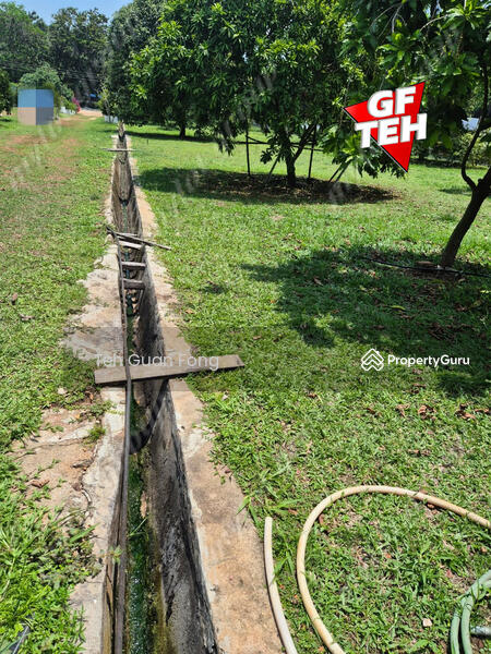 Tanah Pertanian untuk Dijual di Pekan Tikam Batu (Tikam Batu) - Teh Guan Fong - PropertyGuru.com.my