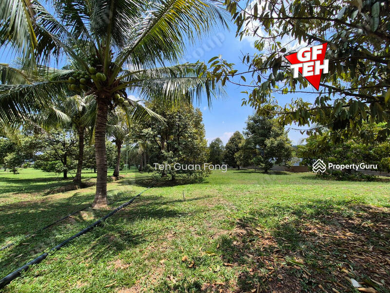 Tanah Pertanian untuk Dijual di Pekan Tikam Batu (Tikam Batu) - Teh Guan Fong - PropertyGuru.com.my