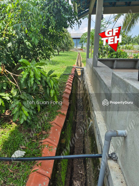 Tanah Pertanian untuk Dijual di Pekan Tikam Batu (Tikam Batu) - Teh Guan Fong - PropertyGuru.com.my