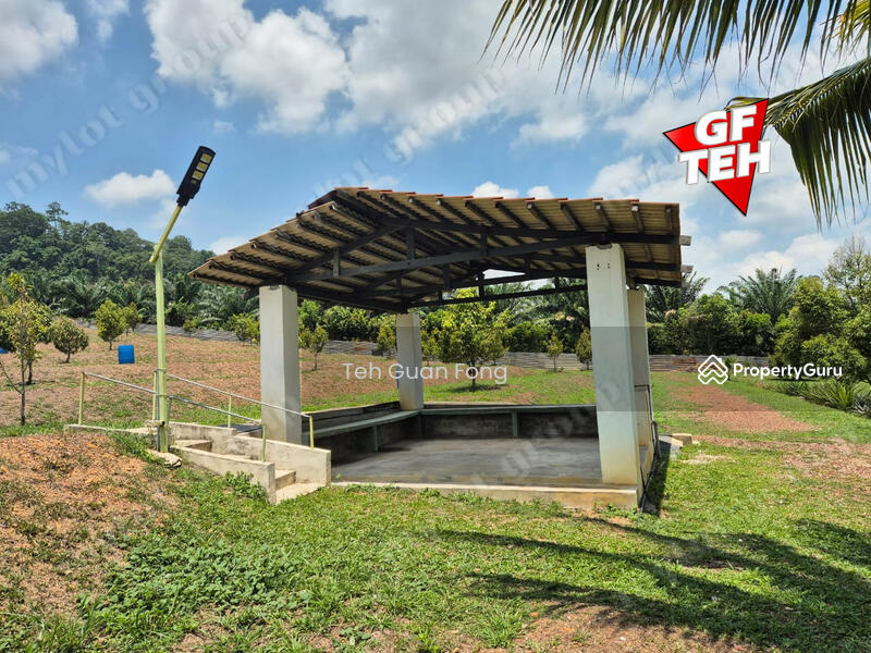 Tanah Pertanian untuk Dijual di Pekan Tikam Batu (Tikam Batu) - Teh Guan Fong - PropertyGuru.com.my