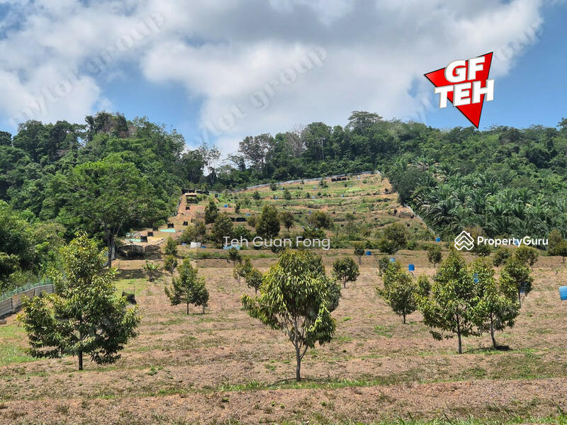 Tanah Pertanian untuk Dijual di Pekan Tikam Batu (Tikam Batu) - Teh Guan Fong - PropertyGuru.com.my