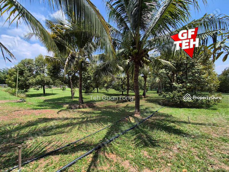 Tanah Pertanian untuk Dijual di Pekan Tikam Batu (Tikam Batu) - Teh Guan Fong - PropertyGuru.com.my