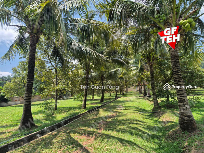 Tanah Pertanian untuk Dijual di Pekan Tikam Batu (Tikam Batu) - Teh Guan Fong - PropertyGuru.com.my