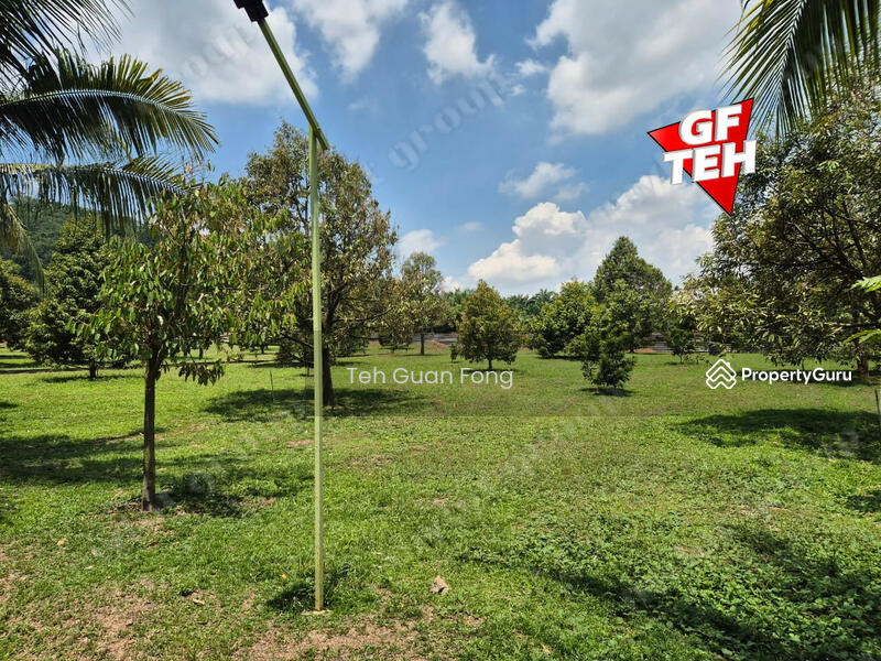 Tanah Pertanian untuk Dijual di Pekan Tikam Batu (Tikam Batu) - Teh Guan Fong - PropertyGuru.com.my