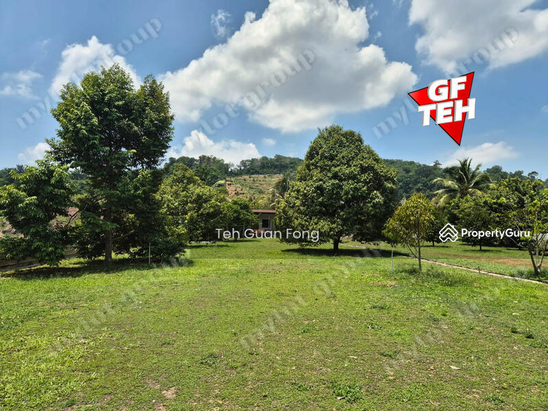 Tanah Pertanian untuk Dijual di Pekan Tikam Batu (Tikam Batu) - Teh Guan Fong - PropertyGuru.com.my