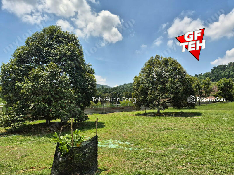 Tanah Pertanian untuk Dijual di Pekan Tikam Batu (Tikam Batu) - Teh Guan Fong - PropertyGuru.com.my