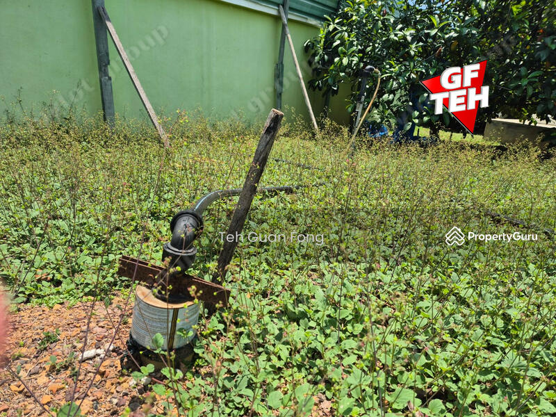 Tanah Pertanian untuk Dijual di Pekan Tikam Batu (Tikam Batu) - Teh Guan Fong - PropertyGuru.com.my
