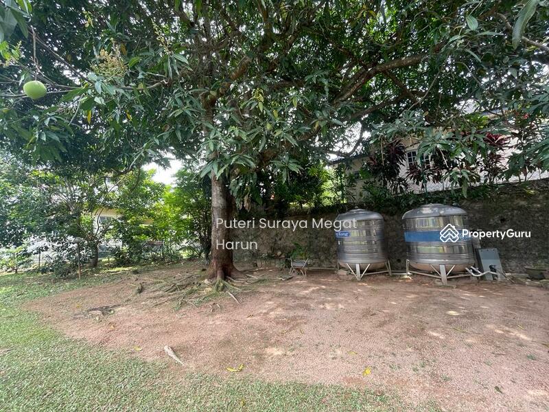 Mango trees with water tank