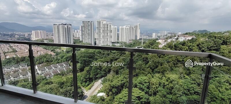 The View