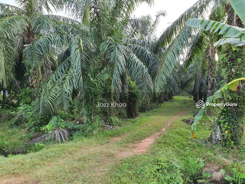 For Sale - Kuala Selangor 5 Acres Freehold