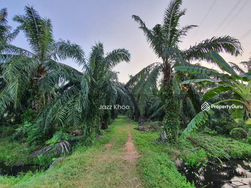 For Sale - Kuala Selangor 5 Acres Freehold