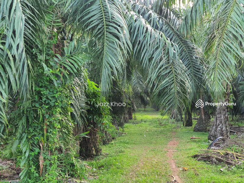 For Sale - Kuala Selangor 5 Acres Freehold