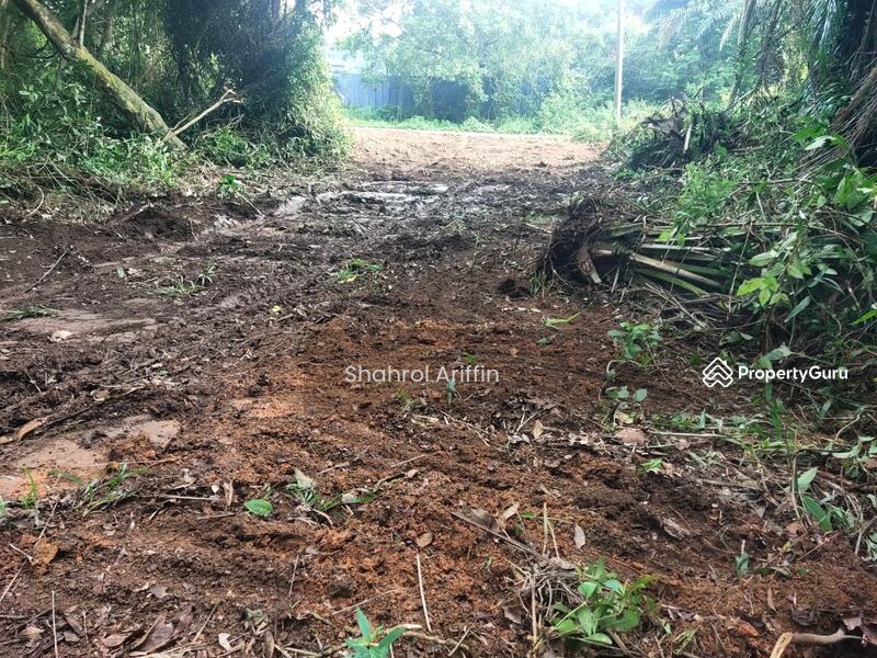 Agricultural Land for Sale in Kampung Bukit Tembakau (Umbai) - Shahrol Ariffin - PropertyGuru.com.my