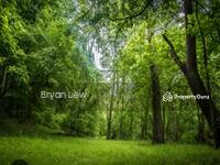 For Sale - Lojing Highlands, Gua Musang, Kelantan