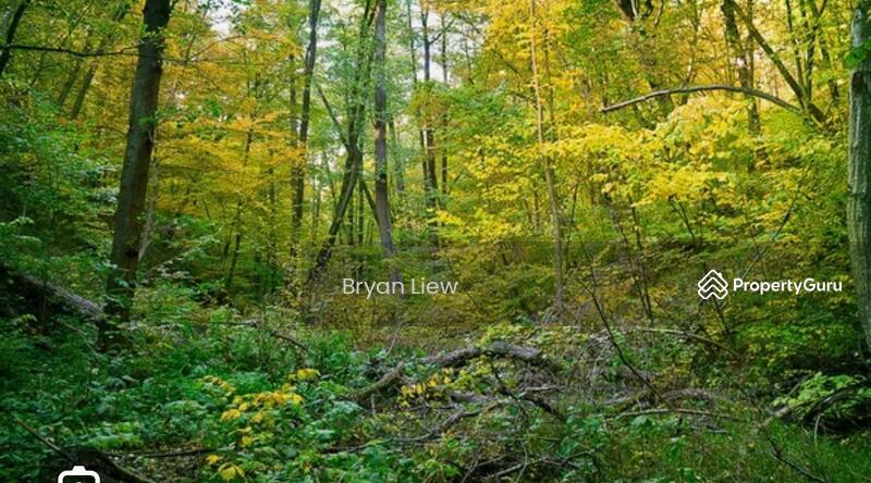 For Sale - Lojing Highlands, Gua Musang, Kelantan