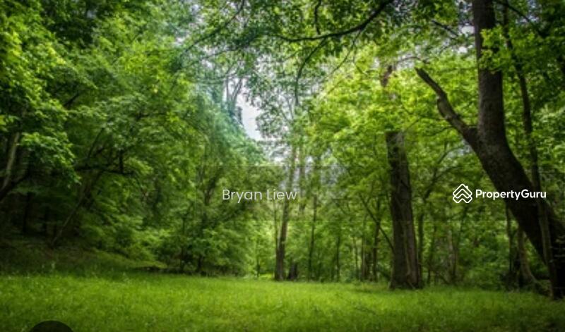 For Sale - Lojing Highlands, Gua Musang, Kelantan