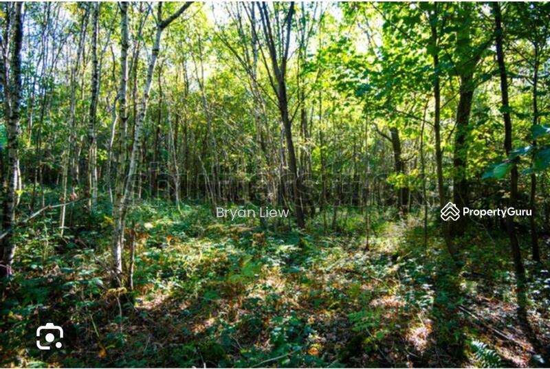 For Sale - Lojing Highlands, Gua Musang, Kelantan