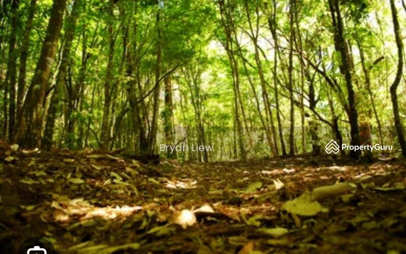 For Rent - Lojing Highlands, Gua Musang, Kelantan