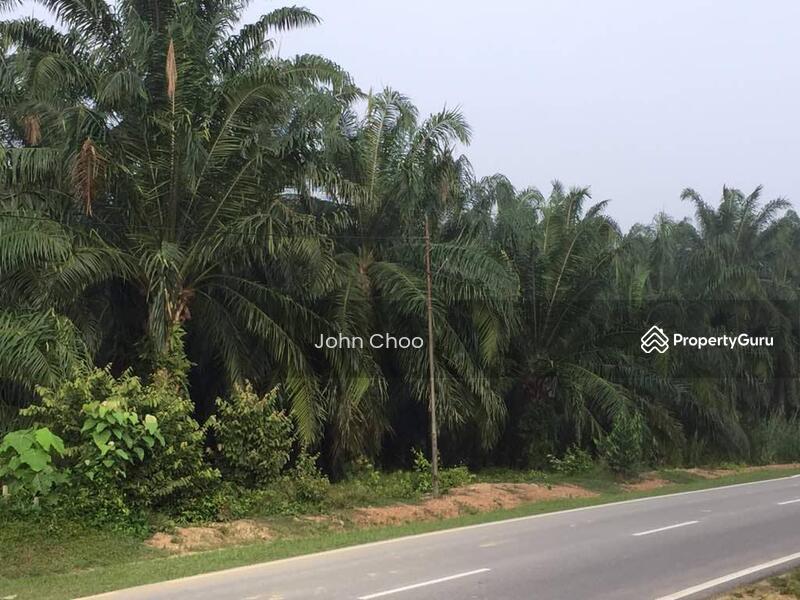 Tanah Pertanian untuk Dijual di Kampung Kuala Johol (Johol) - John Choo - PropertyGuru.com.my