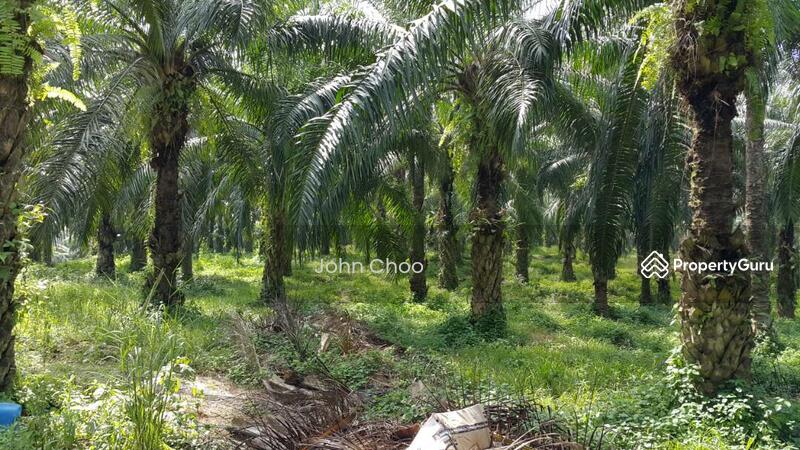 Tanah Pertanian untuk Dijual di Kampung Kuala Johol (Johol) - John Choo - PropertyGuru.com.my