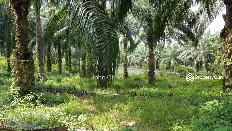 Tanah Pertanian untuk Dijual di Kampung Kuala Johol (Johol) - John Choo - PropertyGuru.com.my