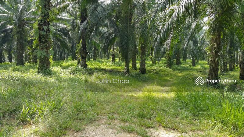 Tanah Pertanian untuk Dijual di Kampung Kuala Johol (Johol) - John Choo - PropertyGuru.com.my