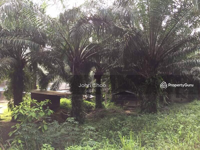 Tanah Pertanian untuk Dijual di Kampung Kuala Johol (Johol) - John Choo - PropertyGuru.com.my