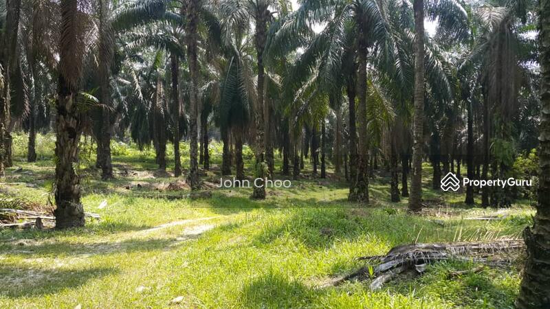 Tanah Pertanian untuk Dijual di Kampung Kuala Johol (Johol) - John Choo - PropertyGuru.com.my