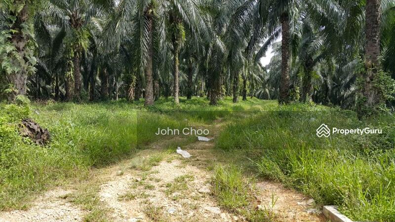 Tanah Pertanian untuk Dijual di Kampung Kuala Johol (Johol) - John Choo - PropertyGuru.com.my