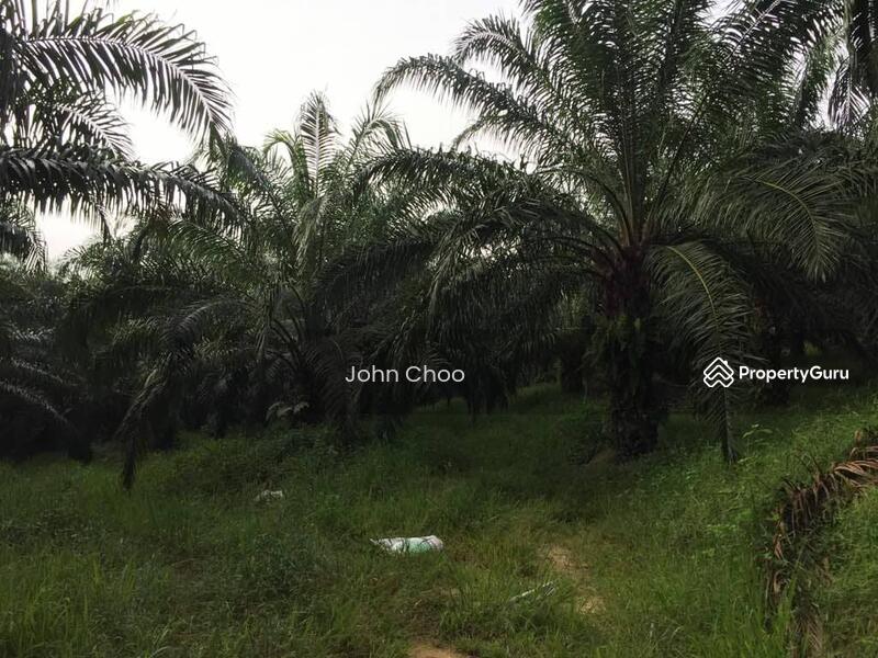 Tanah Pertanian untuk Dijual di Kampung Kuala Johol (Johol) - John Choo - PropertyGuru.com.my