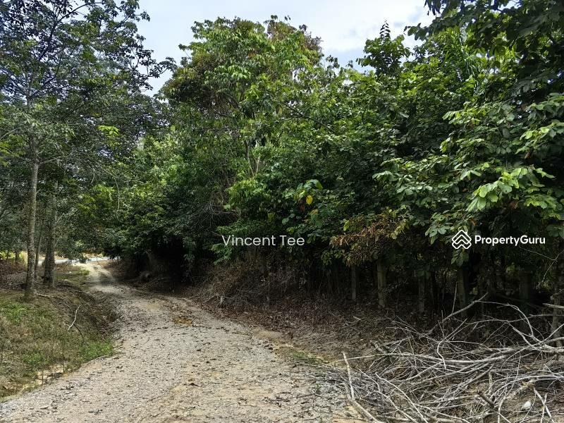 Agricultural Land for Sale in Kampung Kemuning (Kemuning) - Vincent Tee - PropertyGuru.com.my