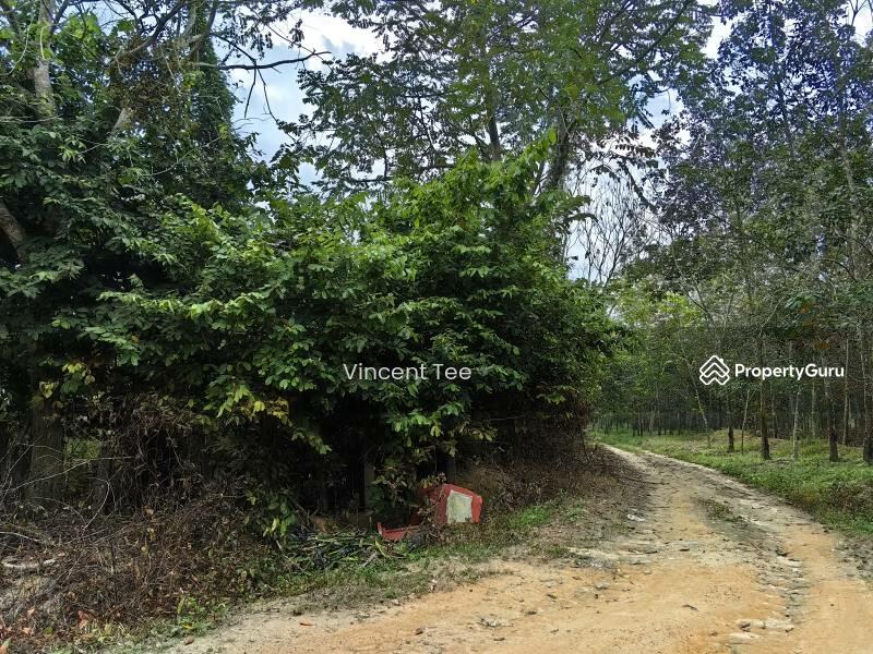 Agricultural Land for Sale in Kampung Kemuning (Kemuning) - Vincent Tee - PropertyGuru.com.my