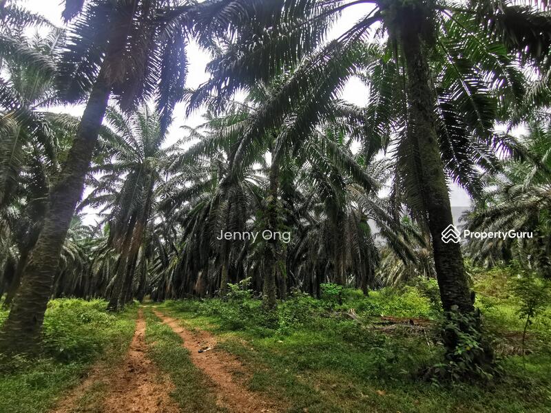 Tanah Perindustrian untuk Dijual di Pekan Gurun (Gurun) - Jenny Ong - PropertyGuru.com.my