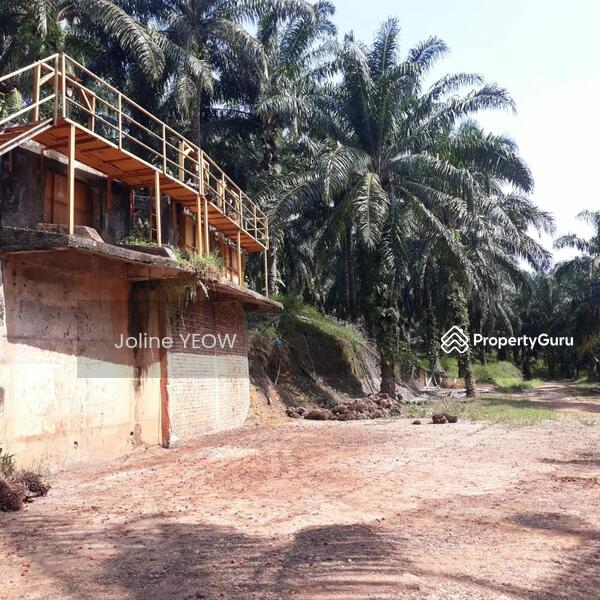 For Sale - Jelai Batu Kurau Perak