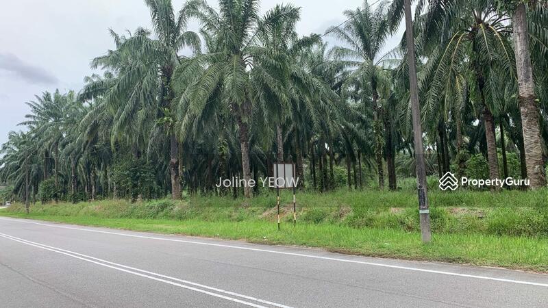 For Sale - Jelai Batu Kurau Perak