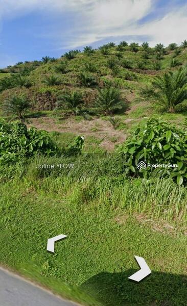 For Sale - Jelai Batu Kurau Perak