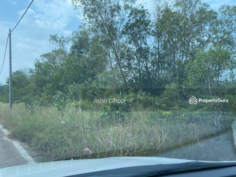 For Rent - Tanjung Langsat 10 acres Converted Medium Industrial land For Rent