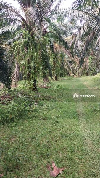 Tanah Pertanian untuk Dijual di Taman Jimah Jaya (Jimah) - David Cheok - PropertyGuru.com.my