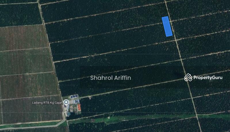 Tanah Pertanian untuk Dijual di Kampung Gajah (Kampong Gajah) - Shahrol Ariffin - PropertyGuru.com.my