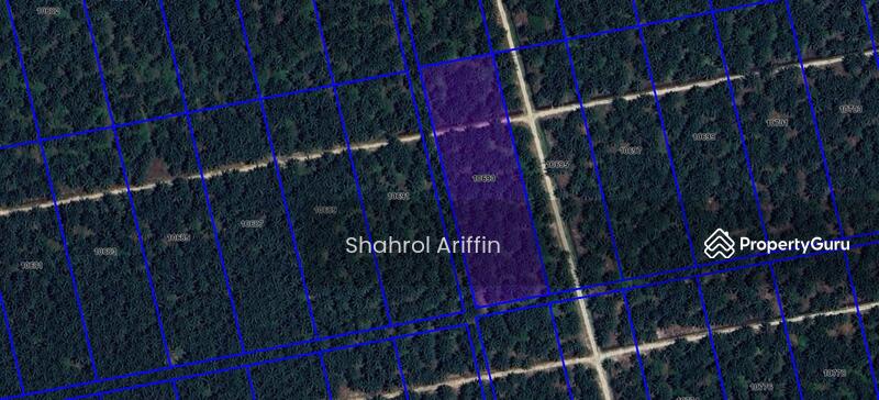 Tanah Pertanian untuk Dijual di Kampung Gajah (Kampong Gajah) - Shahrol Ariffin - PropertyGuru.com.my