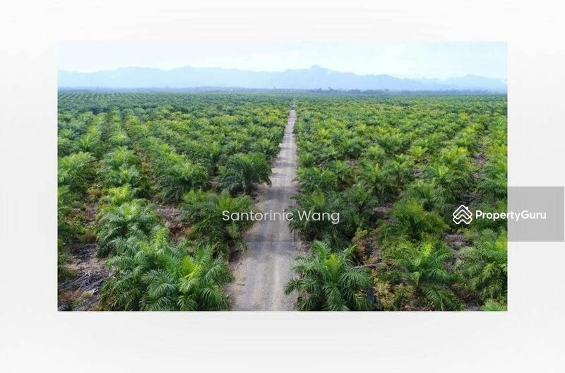 For Sale - Agriculture land at Bintulu