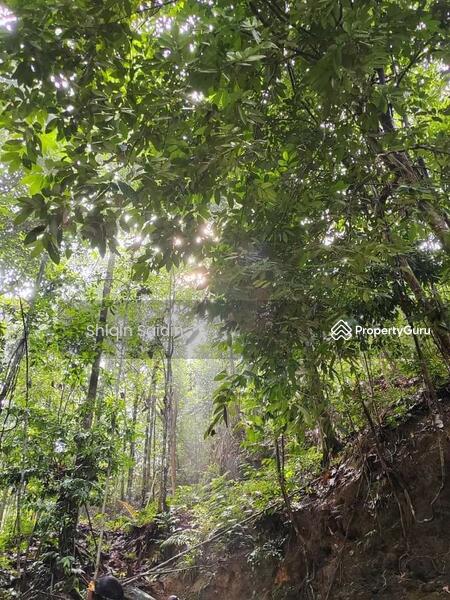 For Sale - hulu Rening